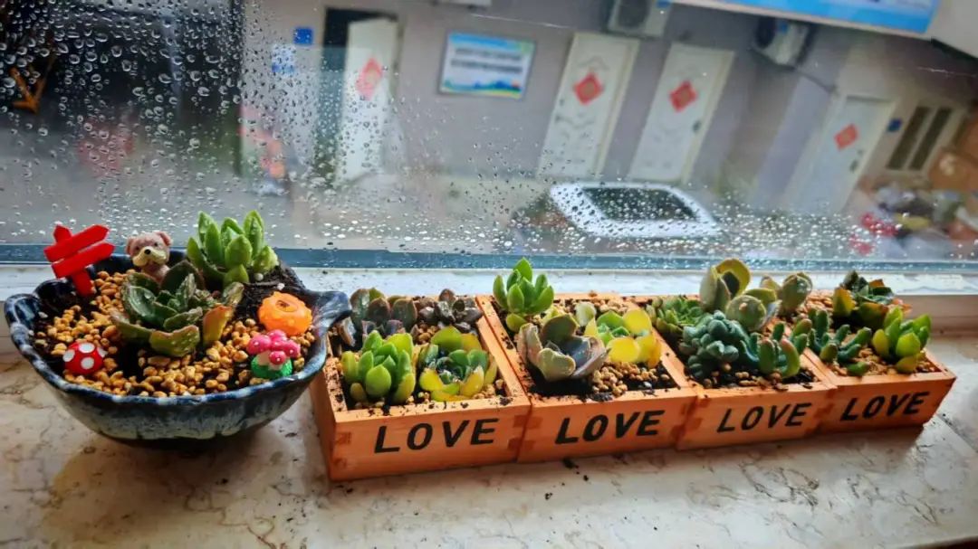 微信圖片_2025-08-20_092835_508