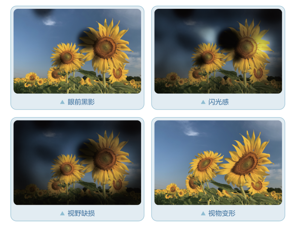 微信圖片_2025-10-14_150007_300