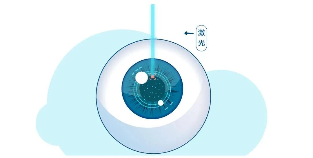 微信圖片_2025-12-11_142028_741