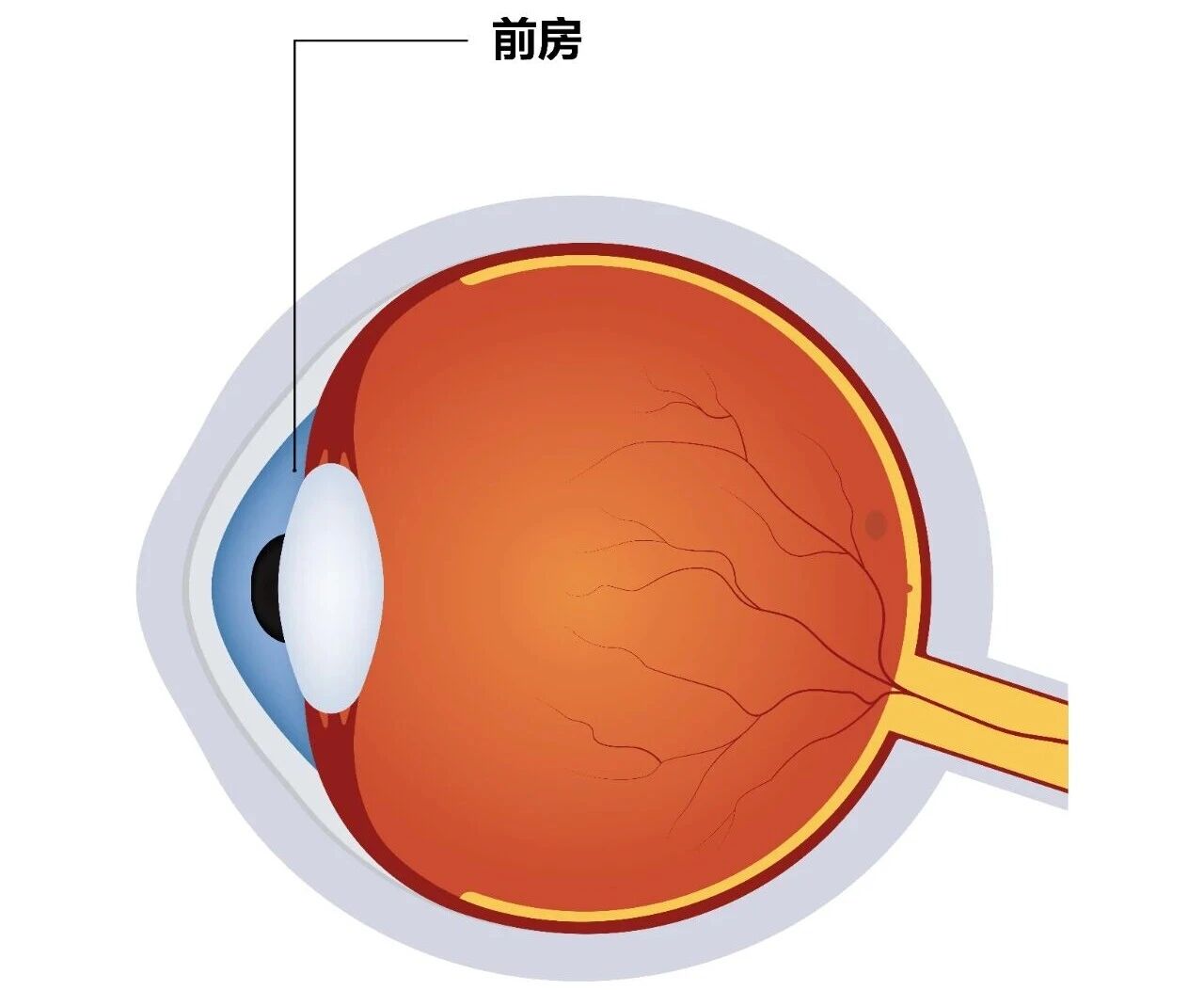 微信圖片_2025-12-11_143009_724